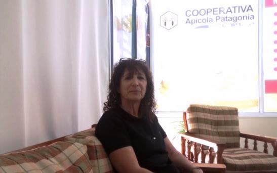 Apicultores de La Pampa apuntan a la miel certificada