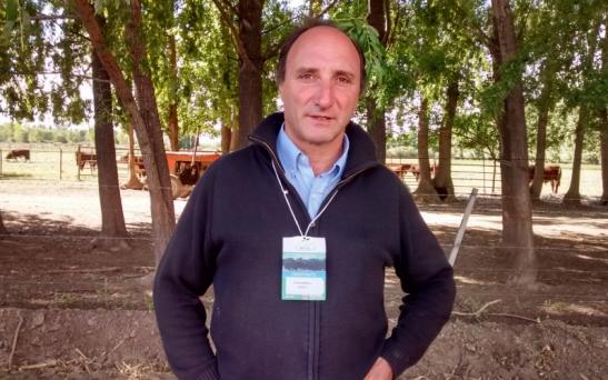 Claves para aumentar la eficiencia de conversión en feedlot