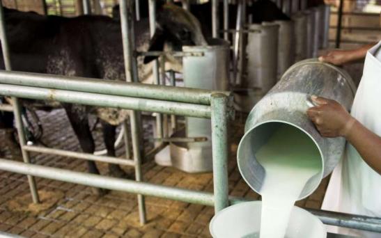 La producción nacional de leche cruda alcanzó los 776 millones de litros en abril