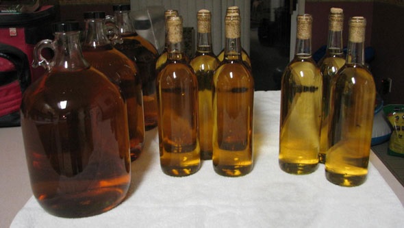 Hidromiel: El valor agregado que puede aumentar 10 veces el valor del producto