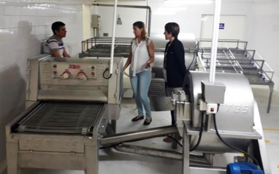 La miel de monte sale como producto diferencial desde Toay