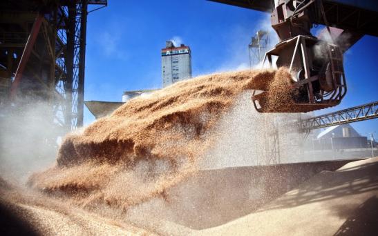 Se extiende inscripción en el sistema de autogestión para exportar granos a China