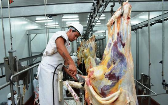 La carne pampeana y la industria frigorífica suman oportunidades