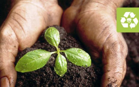 Taller virtual de Biofertilizantes