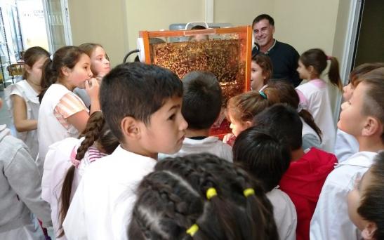 La semana de la miel llegó a los más pequeños