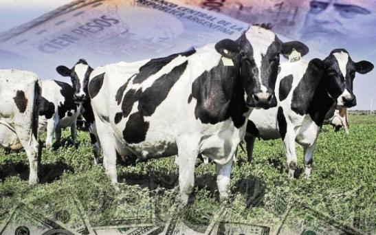 Ronda de Negocios Internacional «Lácteos 2018»