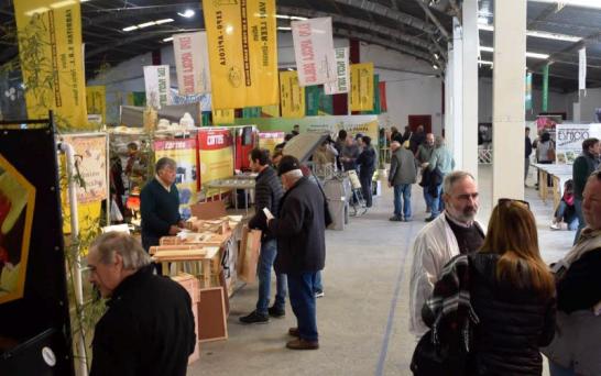 “No estamos estancados”, dijo Borthiry al referirse a la apicultura