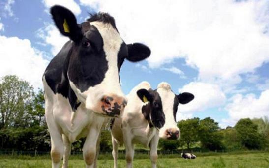 Taller para productores familiares tamberos