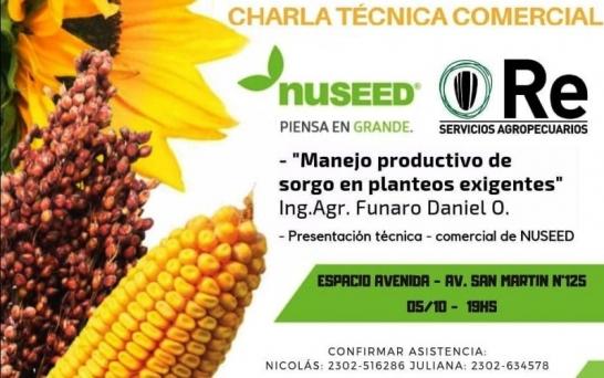 Manejo Productivo de sorgo en planteos exigentes