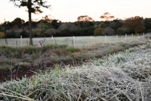 Abril tuvo un índice levemente alto de heladas