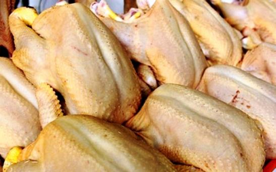El frigorífico municipal de Macachín alcanzó una faena de  pollos  semanales – Rural al día
