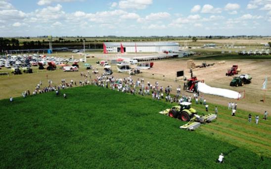 Simplificar los sistemas para tener tambos eficientes y rentables