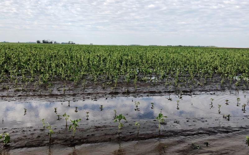 Más de un millón de hectáreas inundadas en el centro bonaerense 
