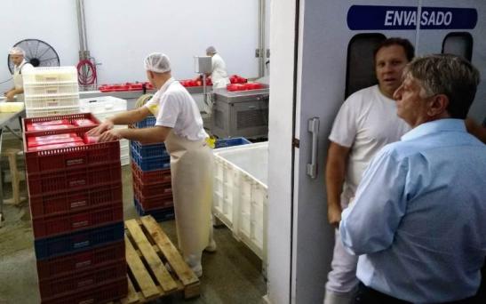 150 tambos y 19 plantas lácteas en La Pampa