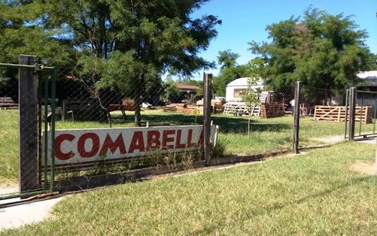 Mangas con fortaleza producidas en el norte pampeano