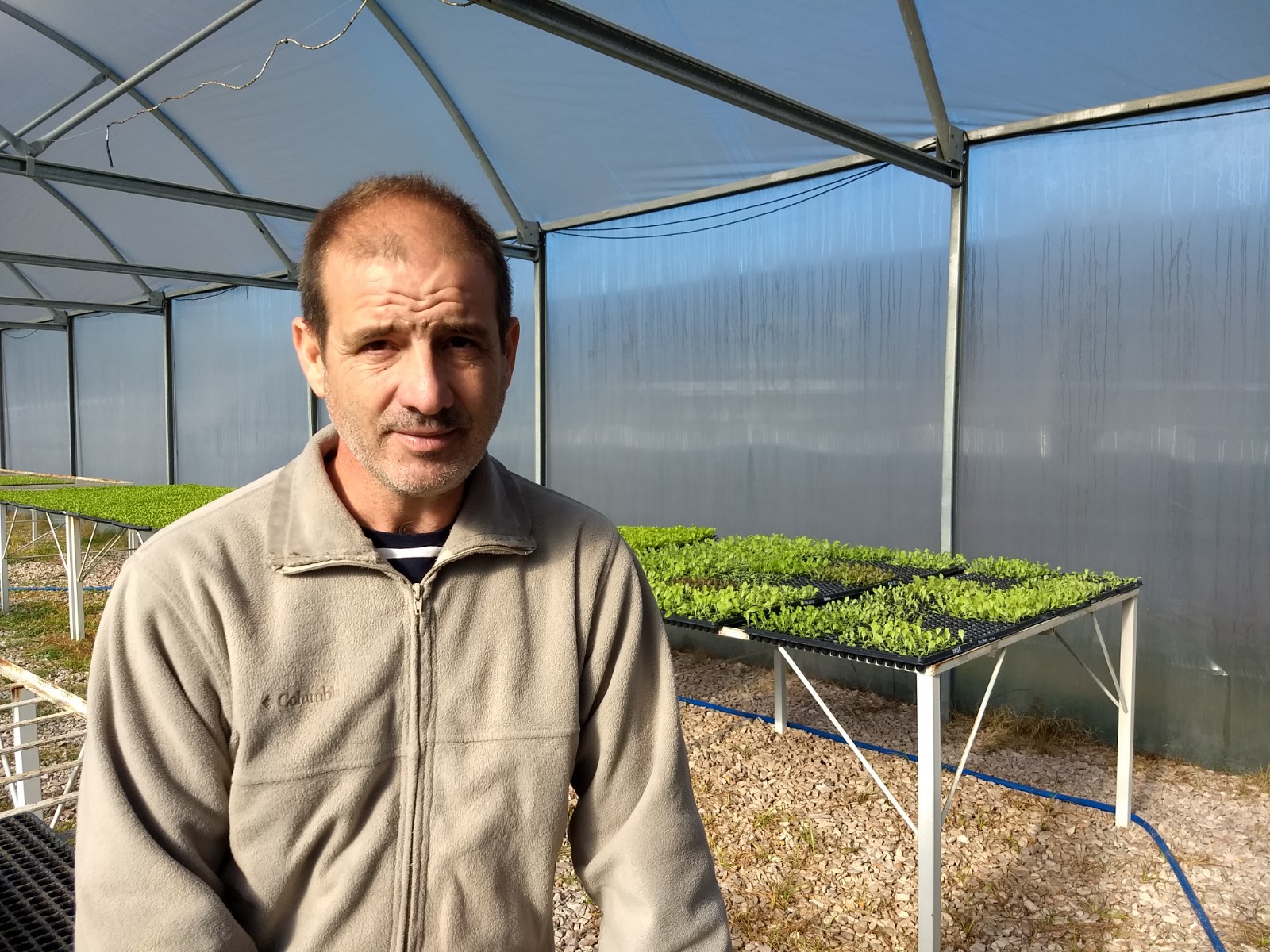 Construcción de túneles y riego por goteo en la huerta