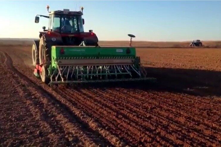 Buen avance de la gruesa en La Pampa