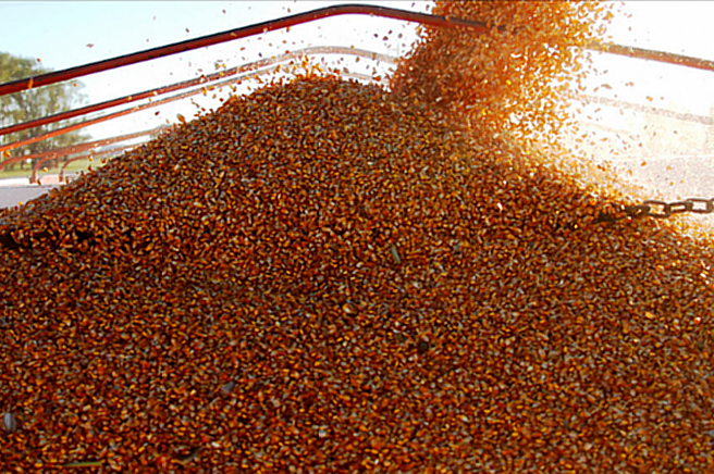 Las exportaciones de grano en un récord histórico
