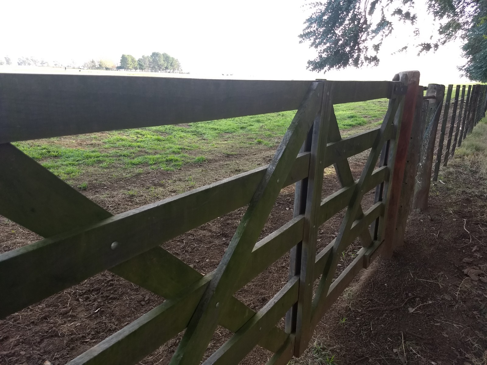 Un semestre de actividad inmobiliaria sostenida