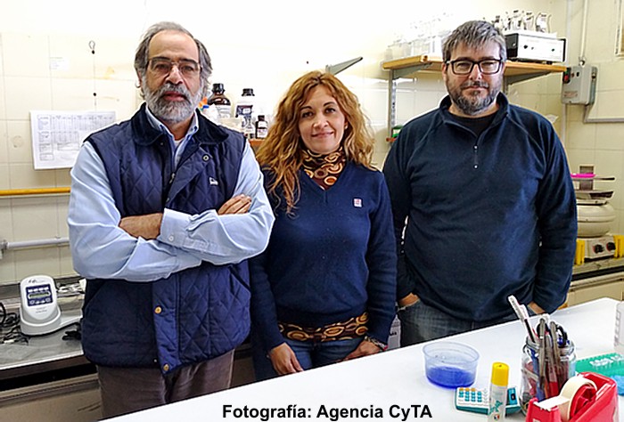 Identificaron una bacteria que causa artritis en el rodeo lechero