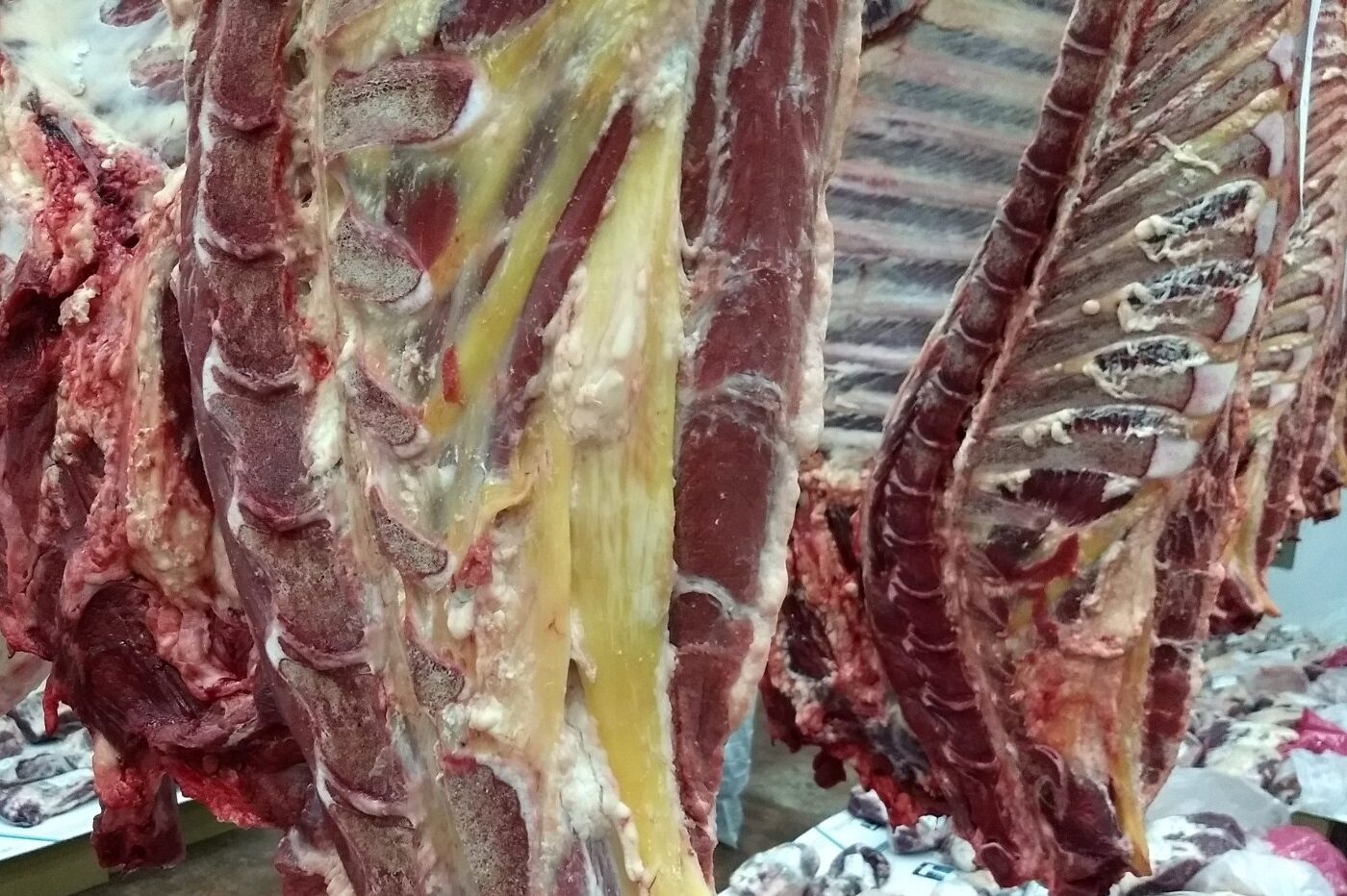 “La mejor carne del mundo”