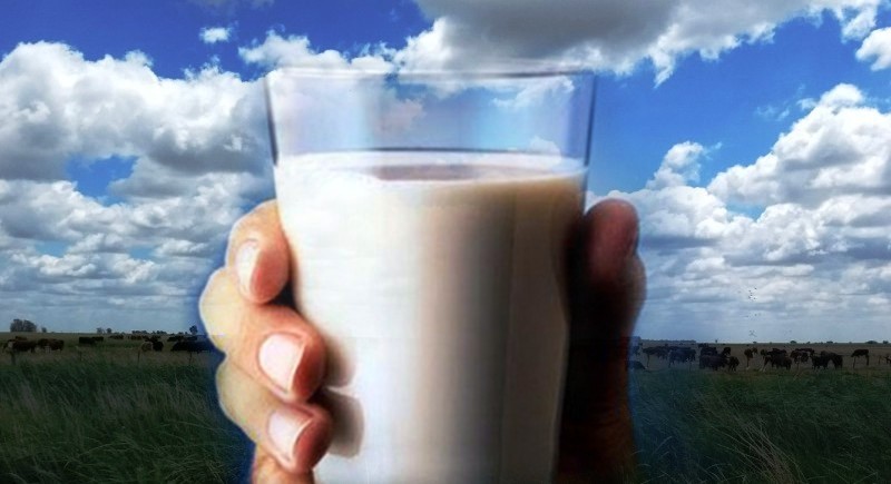 La leche argentina apunta a otro año de crecimiento