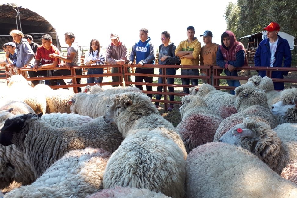 “Soy de la Agro”: anuncian tercera edición de concurso estudiantil