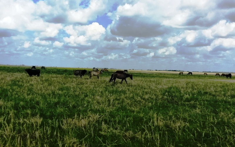 Disminuir el conflicto entre fauna silvestre y el sector productivo