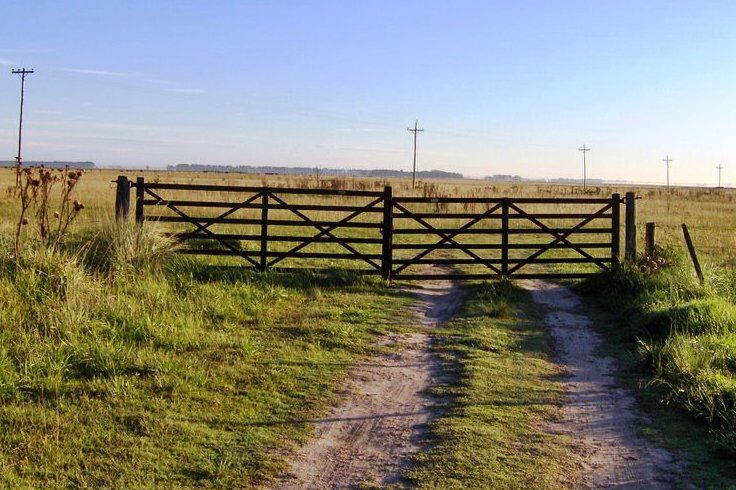 Mejoró la actividad inmobiliaria rural