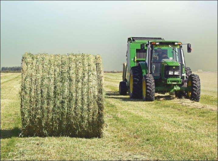 Concurso de Calidad de Heno de Alfalfa 2020