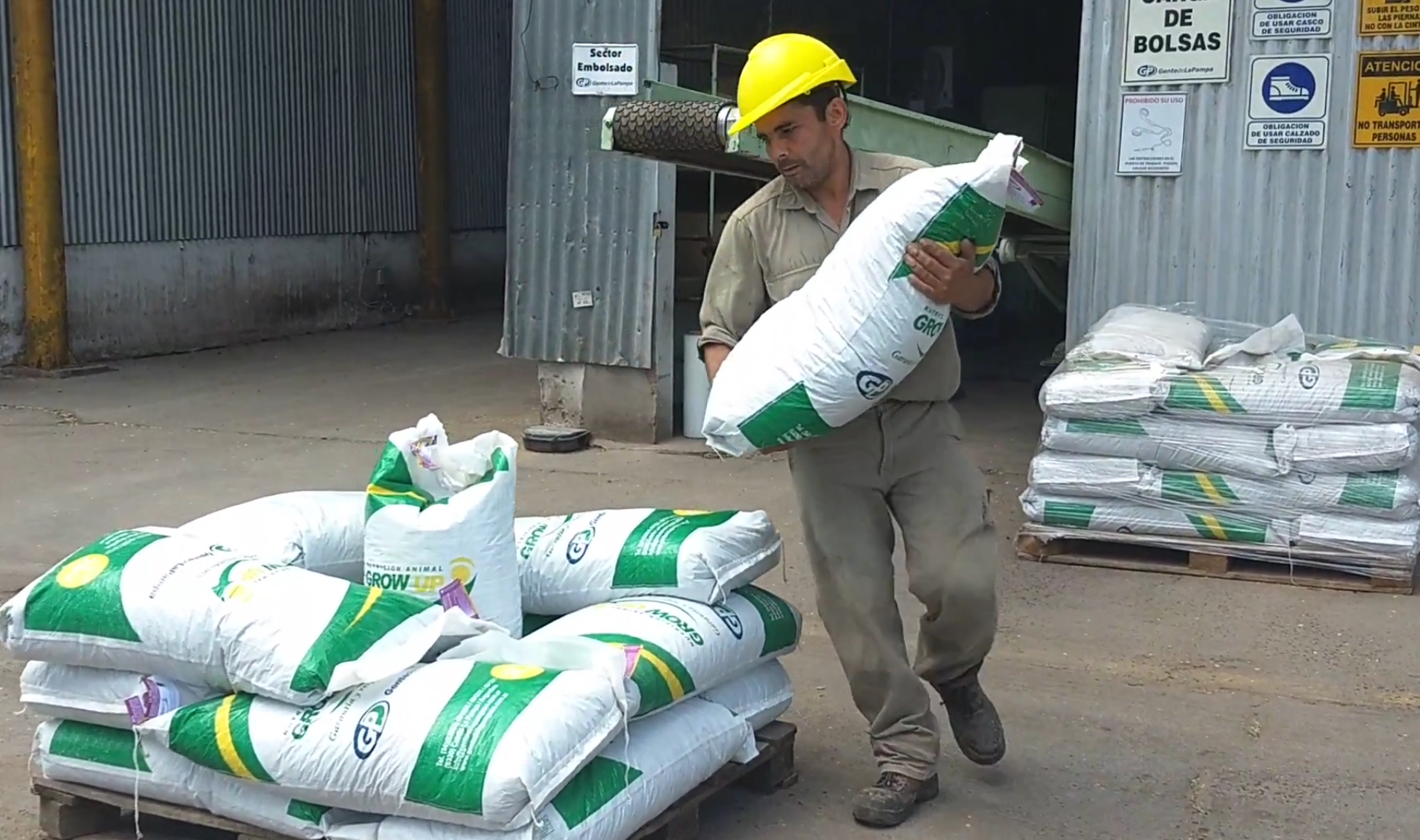 Alimento bovino, soporte técnico y un análisis de cada caso