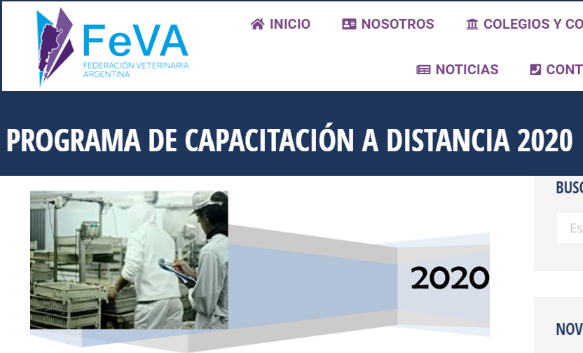 FEVA: Cursos a distancia 2020