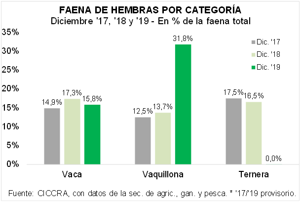 Las vaquillonas en el primer lugar de la faena de hembras