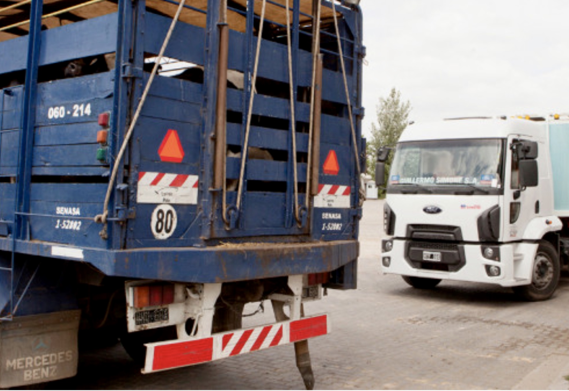 Se facilitan las gestiones para el transporte de animales vivos