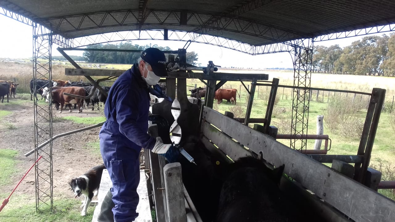 “Así trabajamos y cuidamos al hombre de campo”