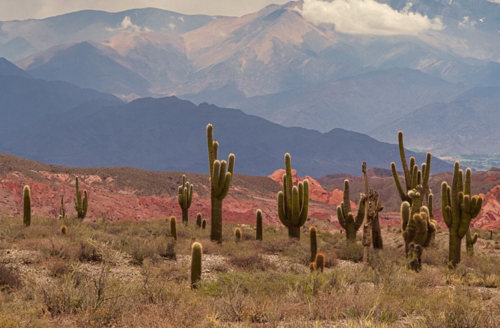 Ambiente inicia un proyecto por el cuidado de la diversidad y el manejo sostenible de tierras