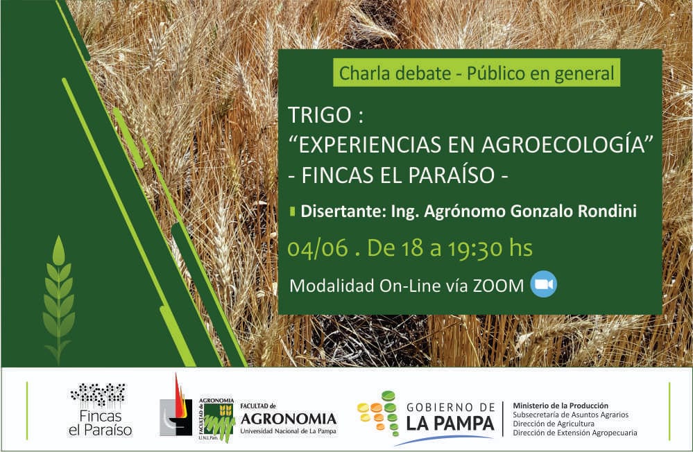 Trigo: Experiencias en agroecología