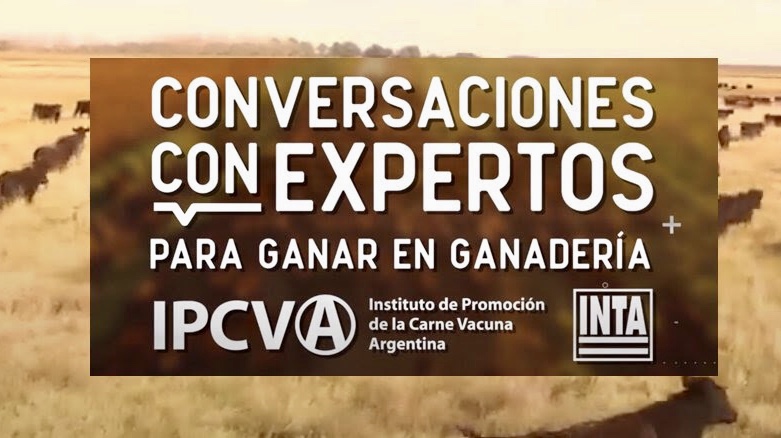 Conversaciones con expertos para ganar en ganadería: más capacitación del IPCVA en tiempos de pandemia