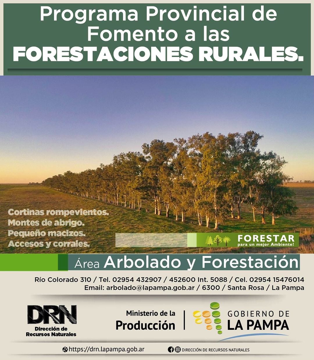 Fomento de las forestaciones rurales