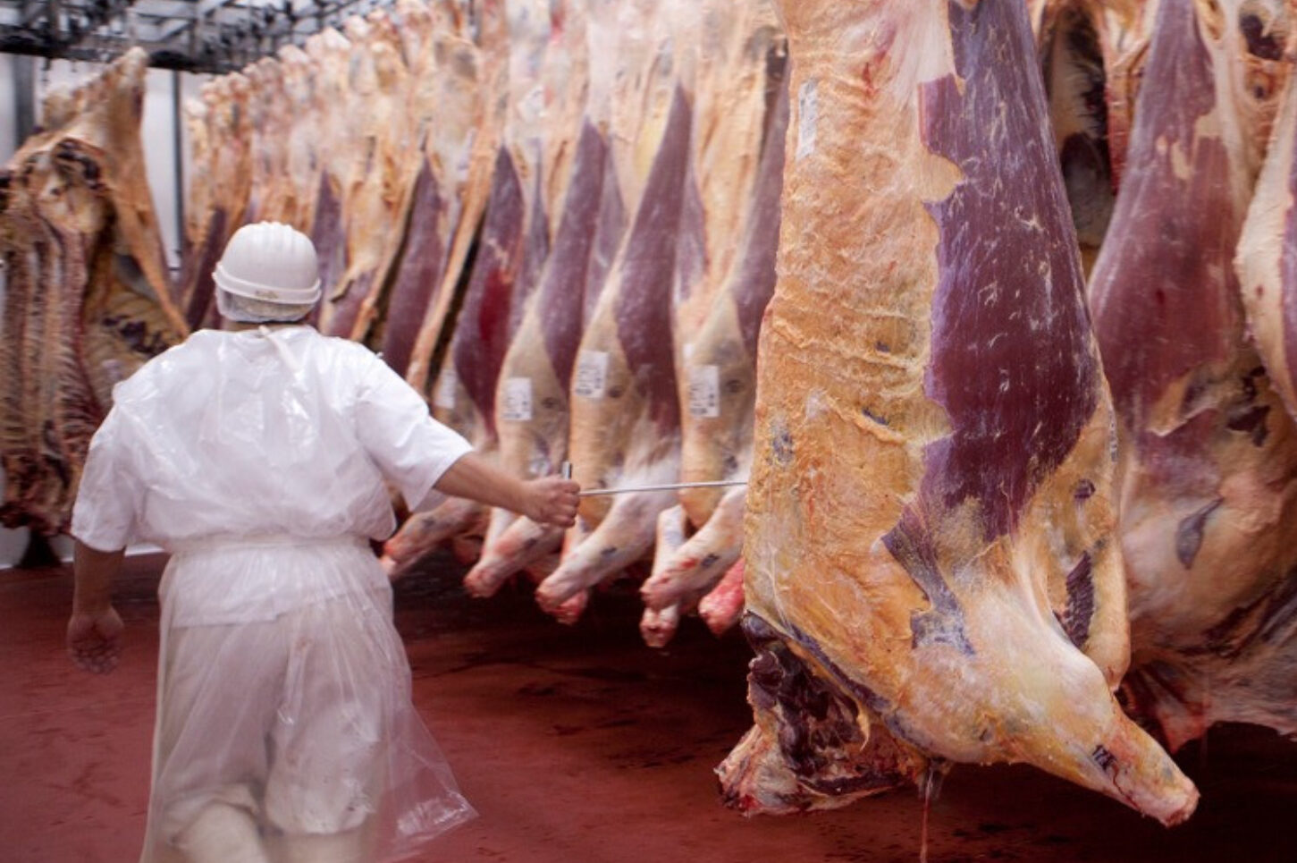 Noviembre ‘21 mostró una baja en dólares de la exportación de carne vacuna