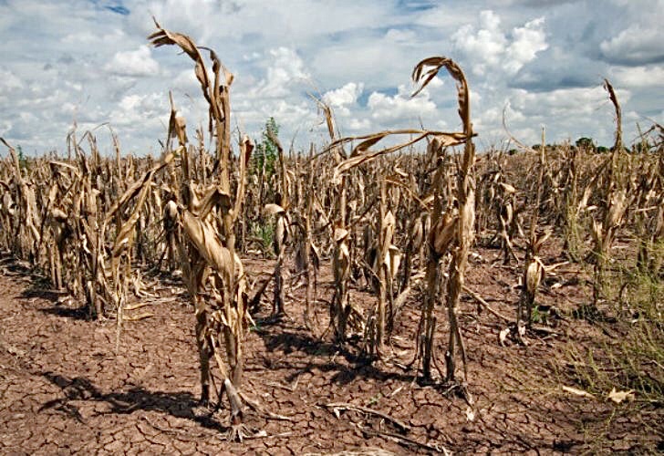 La Mesa de Emergencia analiza la sequía mientras se esperan lluvias