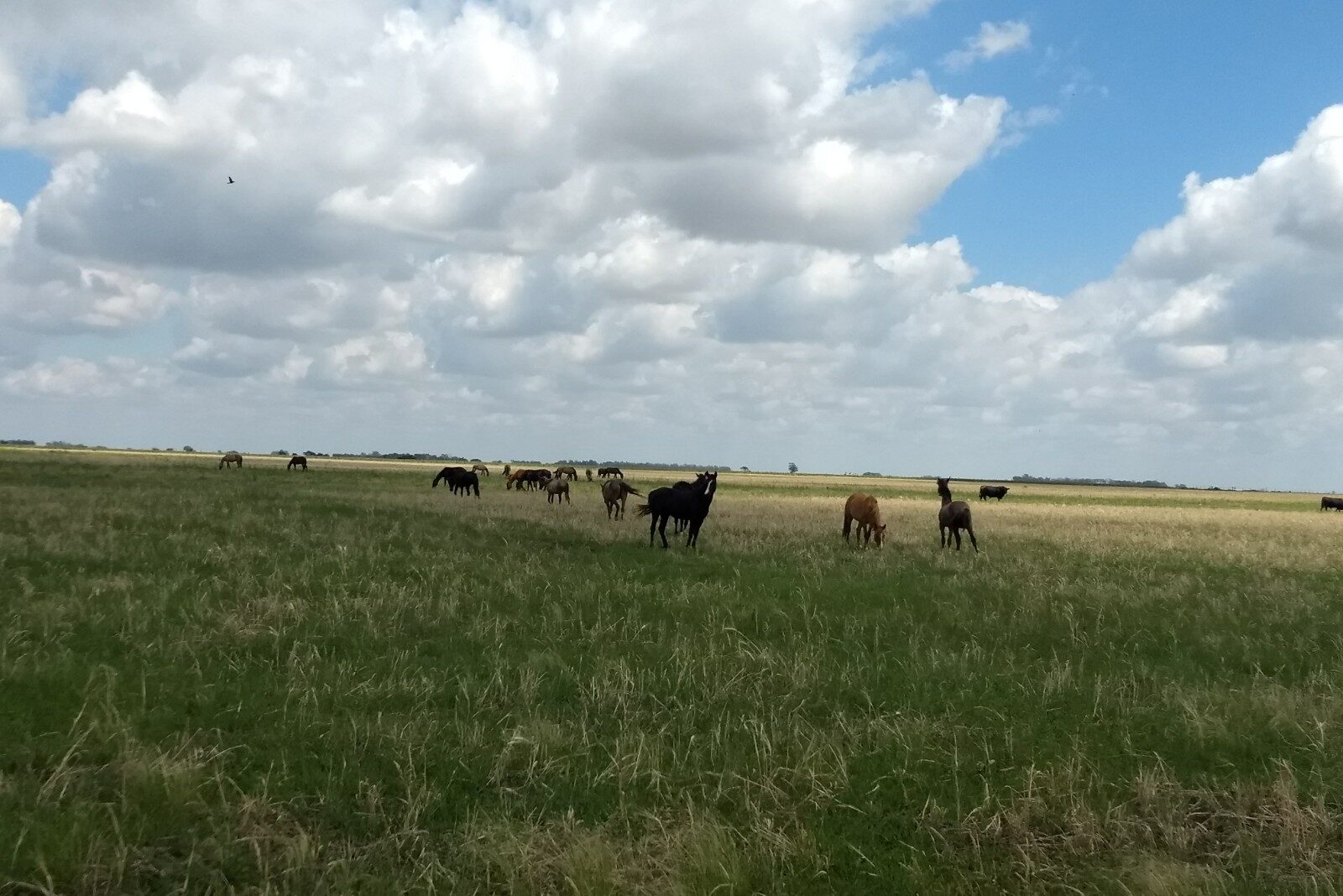 La Pampa y Bs. As. seguirán esperando la lluvia?