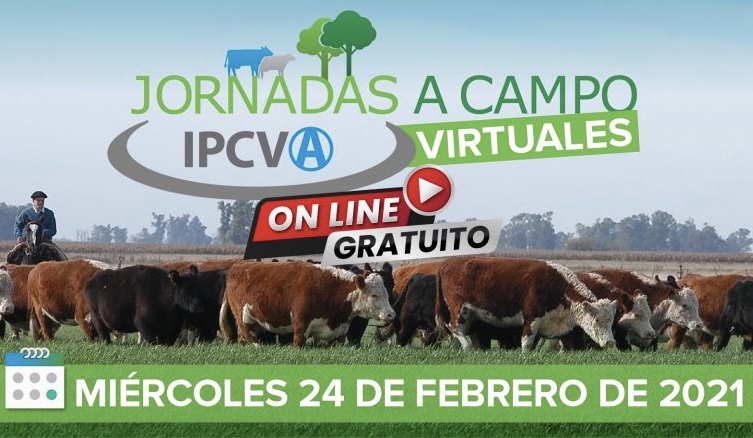 24 de febrero de 2021: Se viene la primera jornada virtual del IPCVA en Reconquista