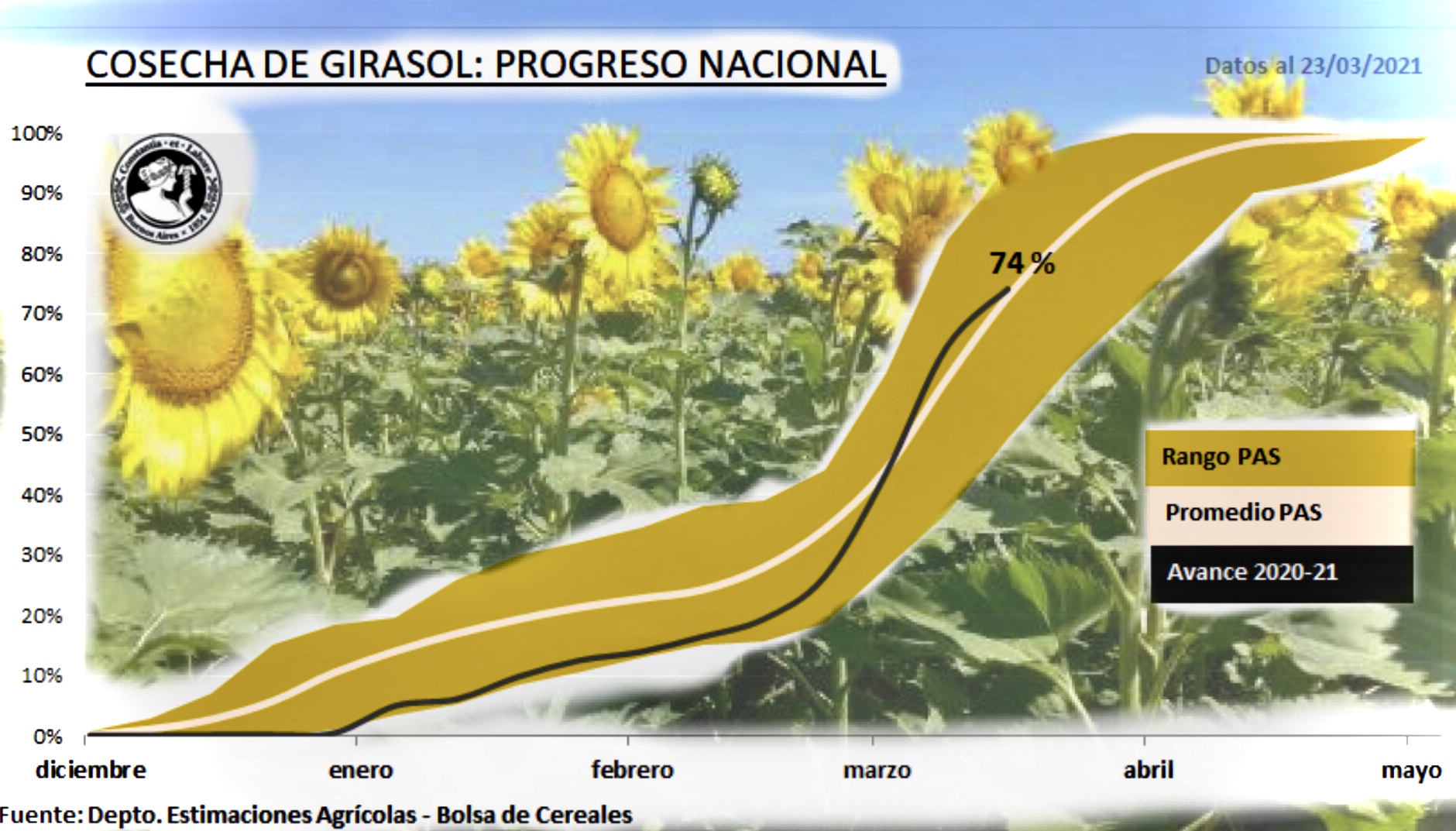 Girasol: La cosecha al 74%