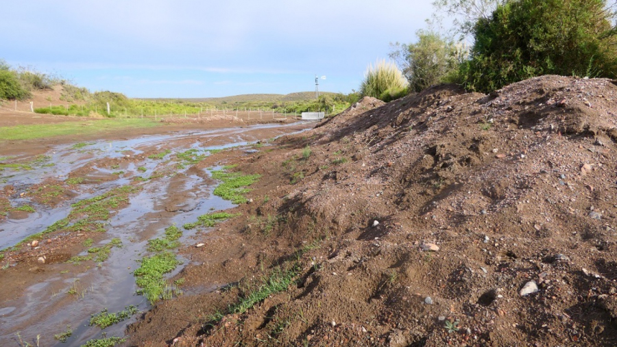 Denuncian a productor por alterar manantial de Agua de Torres