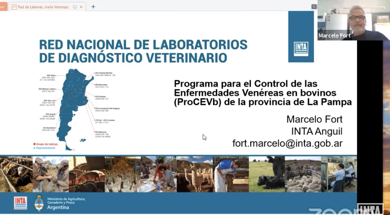 En La Pampa el control de venéreas supera el 90% de los toros