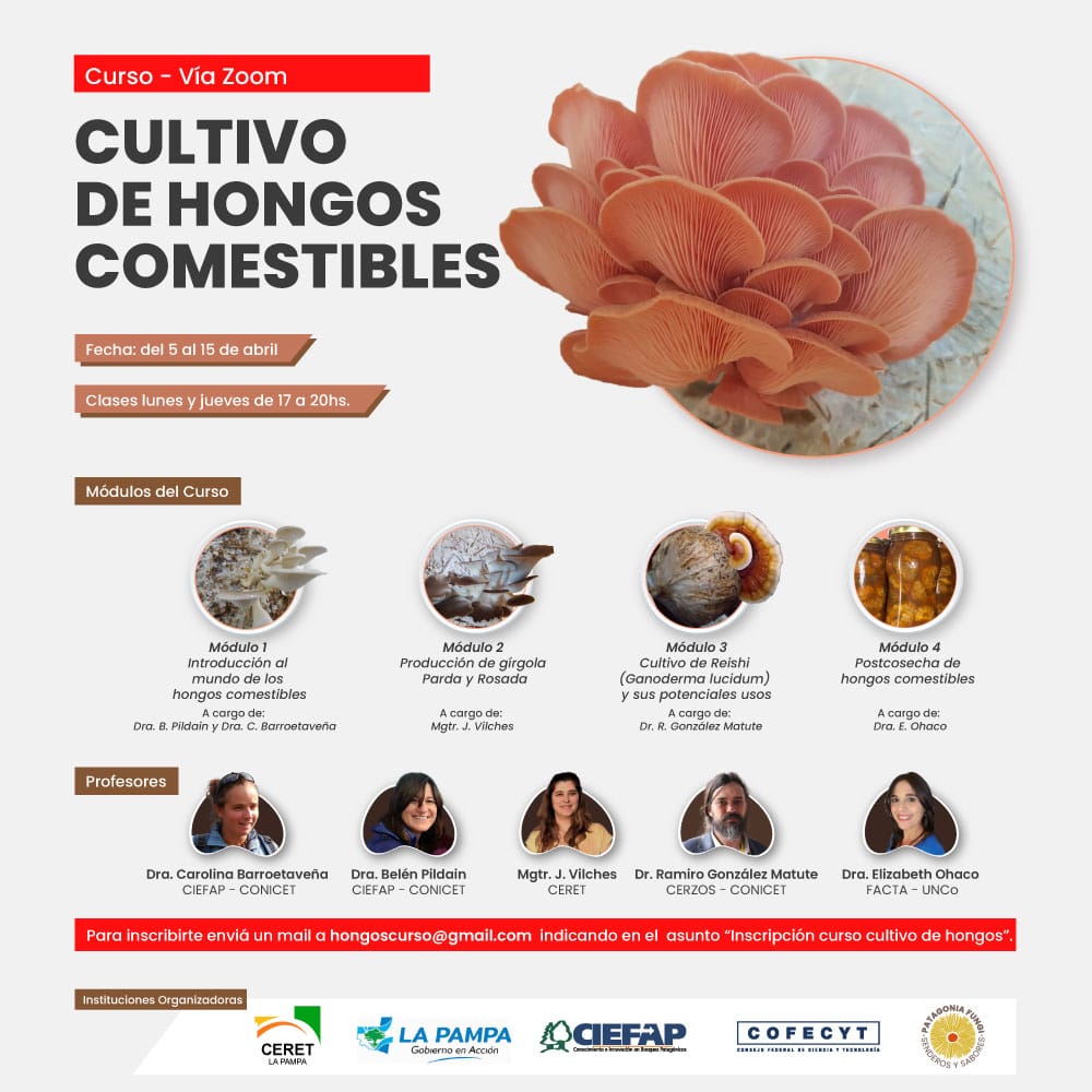 Dictan curso sobre cultivo de hongos comestibles