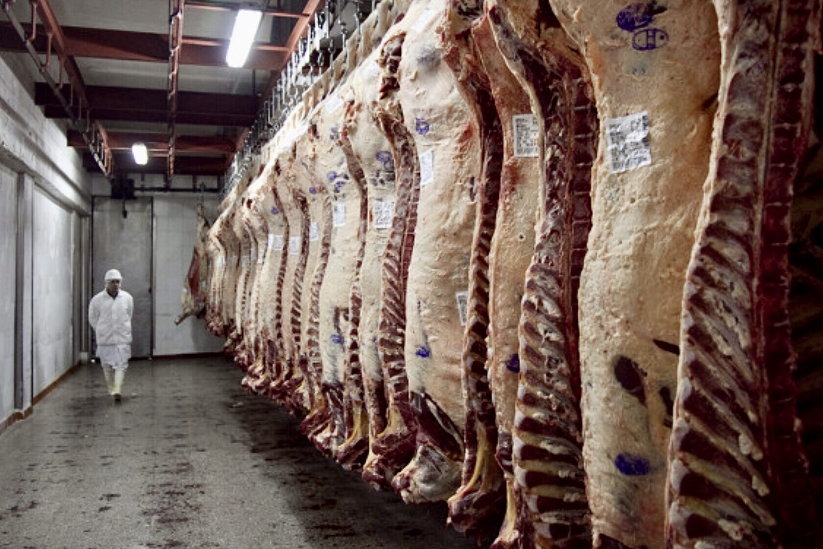 Agricultura inhabilitó la operación de 12 empresas exportadoras e interdictó más de 220 mil kilos de carne vacuna