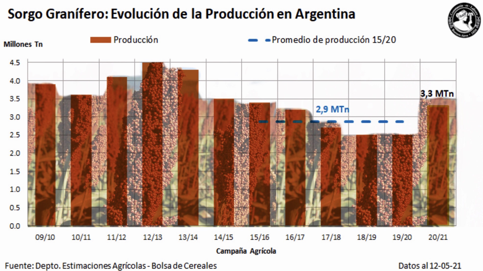 La proyección de sorgo aumenta con buenos rindes