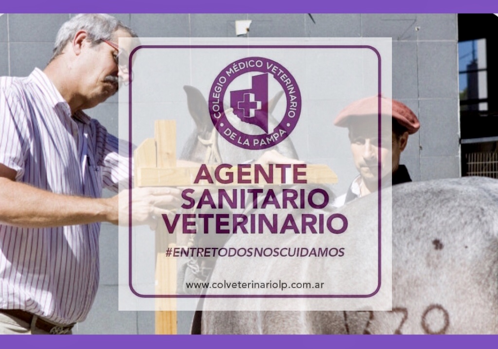 Los veterinarios pampeanos deben retirar la oblea de circulación